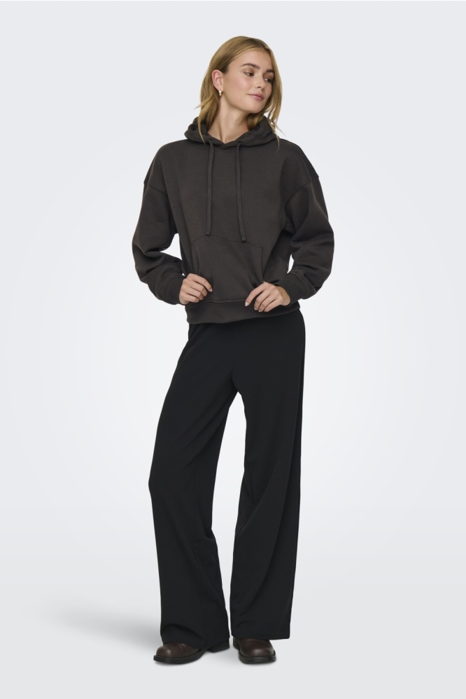 Only bruine dames sweater | Model