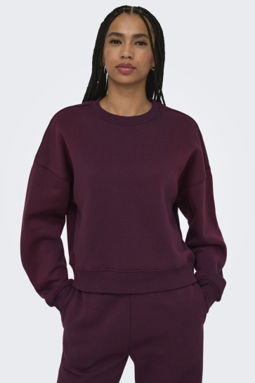 Only sweater ONLBEST L/S CREW NECK SWT 15338727 FIG