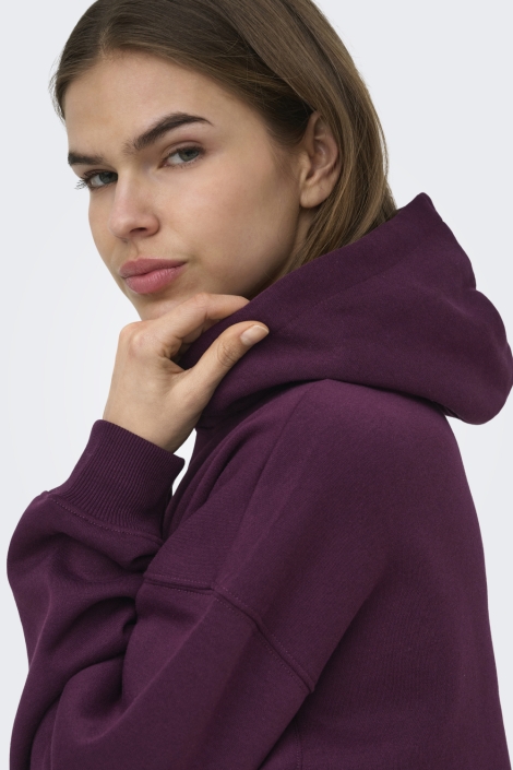 Only bordeaux dames sweater | Close up