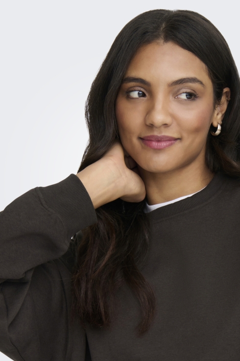 Only bruine dames sweater | Close up
