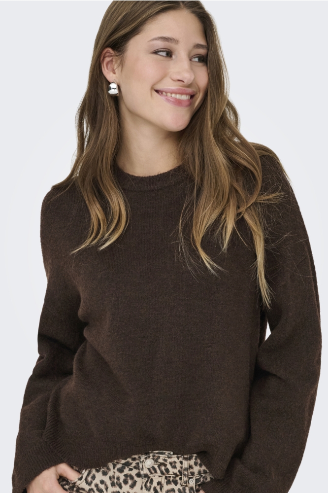 Only bruine dames trui | Model vooraanzicht
