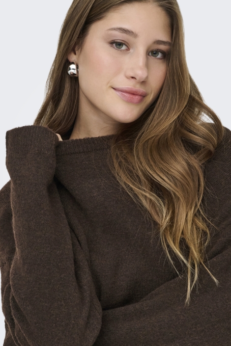 Only bruine dames trui | Close up