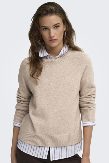 Only onlprincess ls o-neck raglan knt no Beige