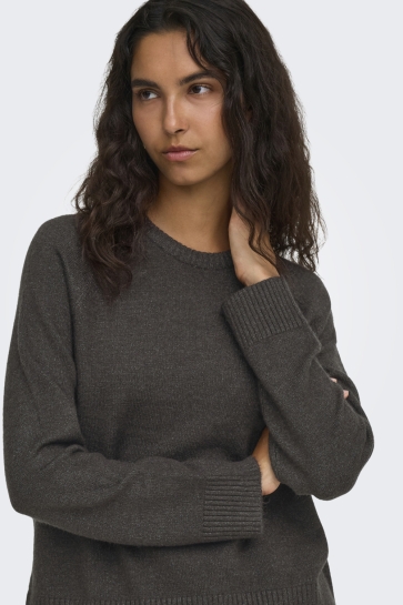 Only onlprincess ls o-neck raglan knt no Bruin