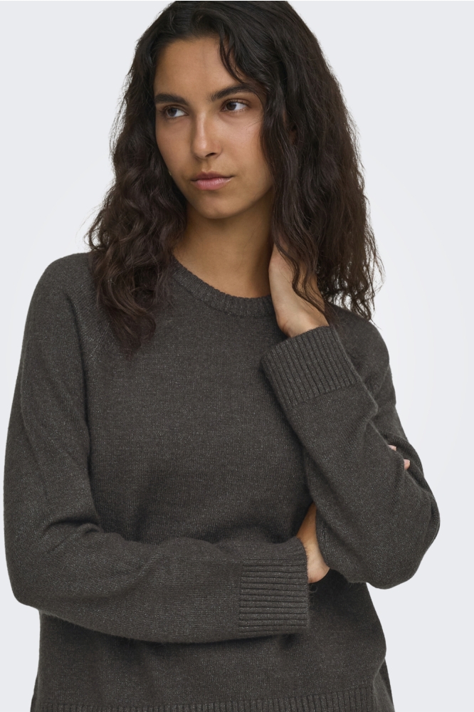 Only bruine dames trui | Model vooraanzicht