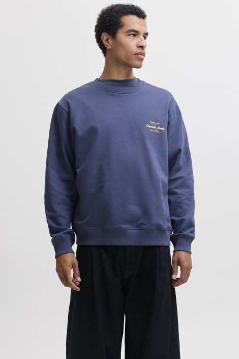 Jack & Jones blauwe heren sweater | Model vooraanzicht