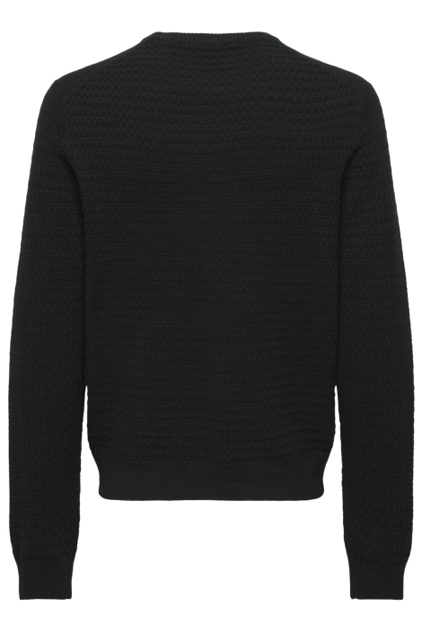Only & Sons zwarte heren trui | Achteraanzicht