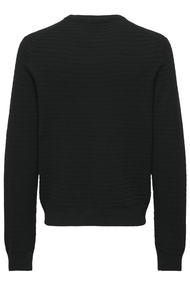Only & Sons zwarte heren trui | Achteraanzicht