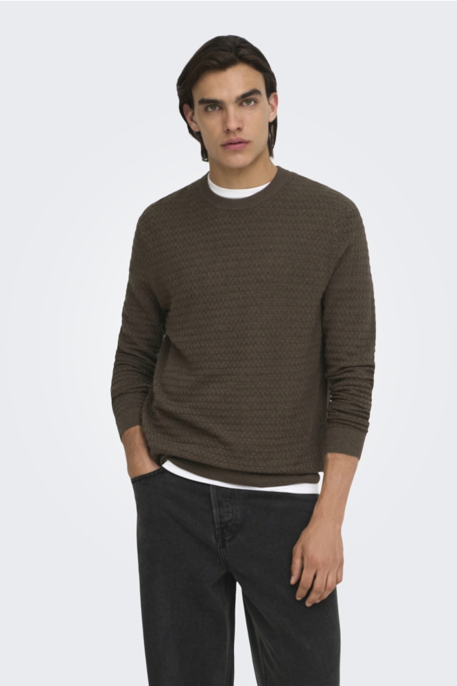 Only & Sons bruine heren trui | Model vooraanzicht