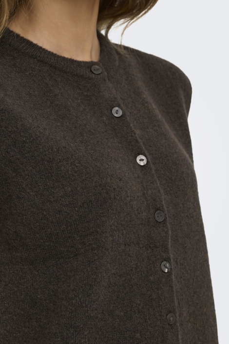 Only bruine dames gilet | Close up