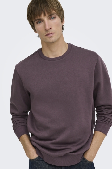 Only & Sons onsceres crew neck noos Paars