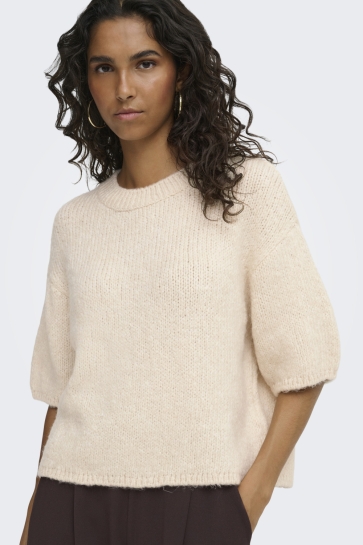 Jacqueline de Yong Trui JDYDICTE S/S PULL O-NECK KNT NOOS 15392709 Birch