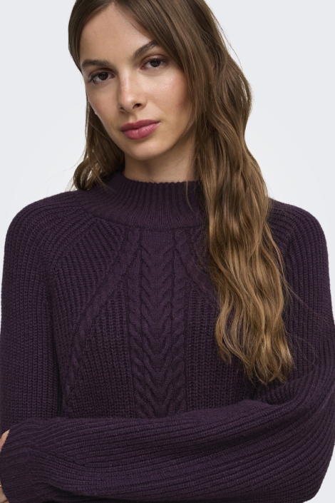 Only paarse dames trui | Close up