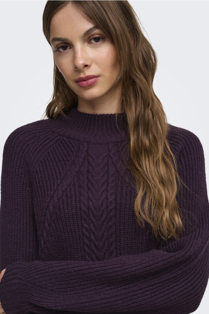 Only paarse dames trui | Close up