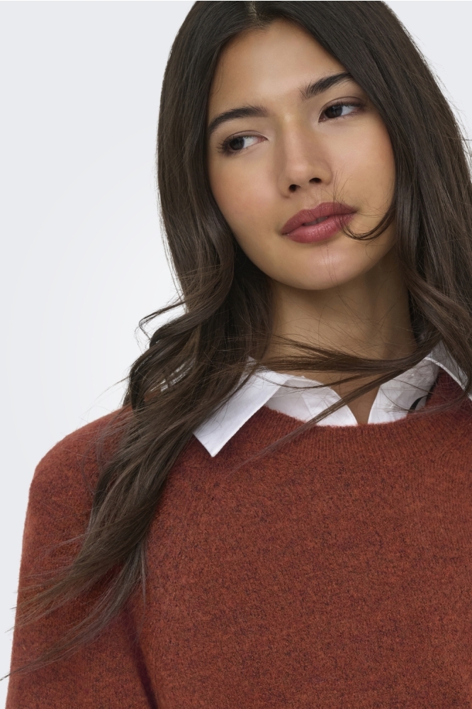 Only cognac dames trui | Close up