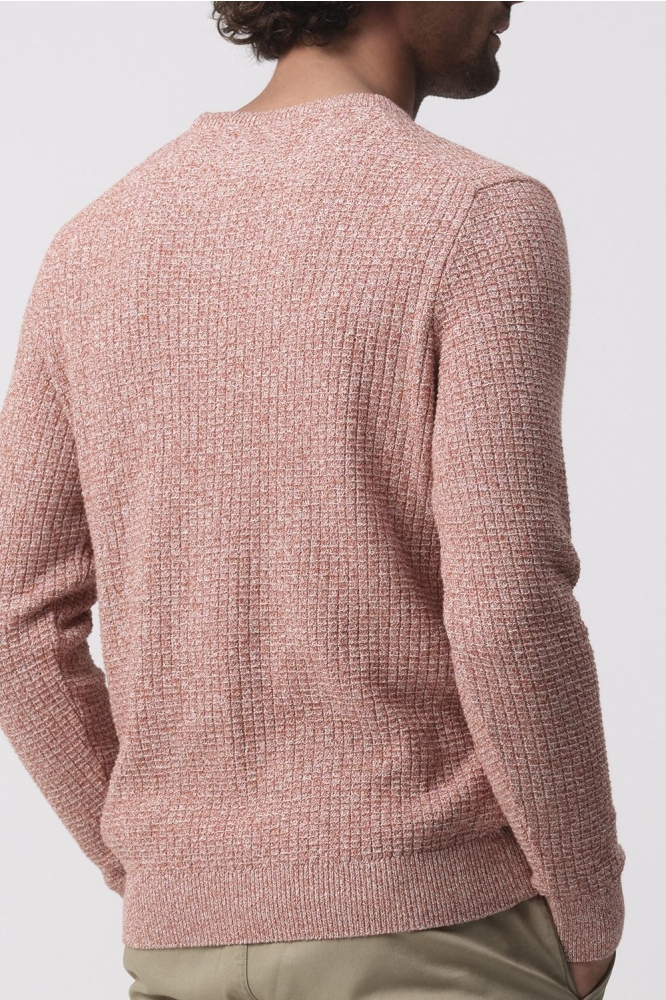 Campbell oranje heren trui | Model achteraanzicht