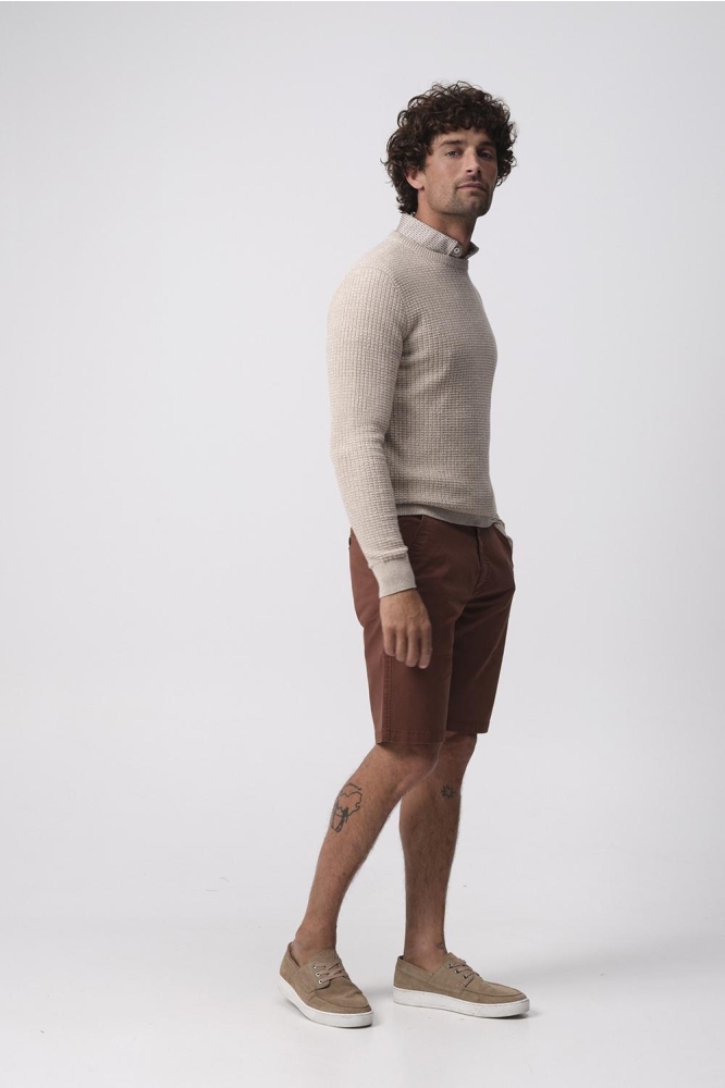 Campbell beige heren trui | Model zijaanzicht