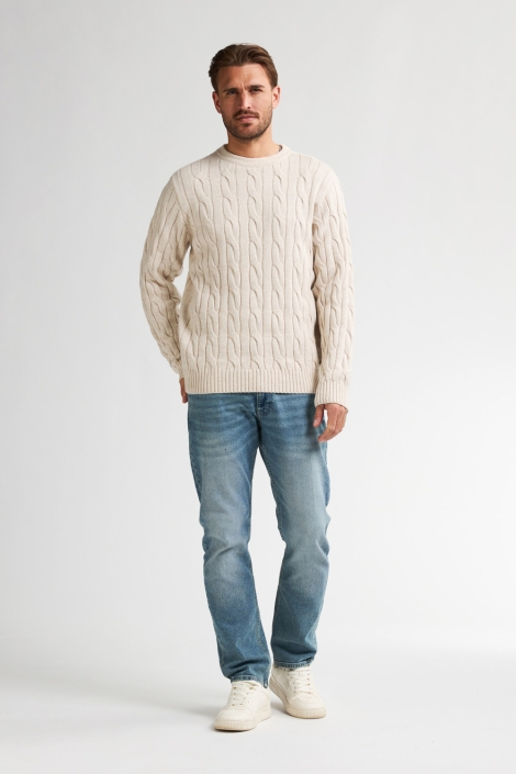 Petrol Industries beige heren trui | Model