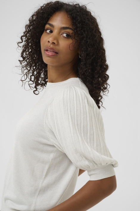 Kaffe zilveren dames trui | Close up