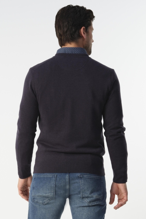 Campbell blauwe heren trui | Model achteraanzicht