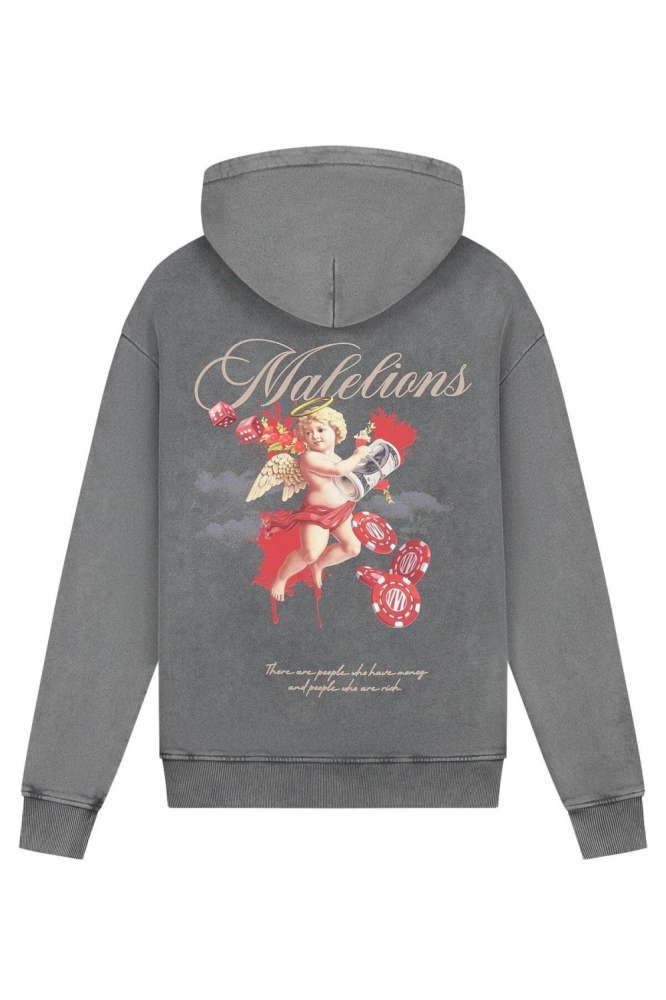 Malelions grijze heren sweater | Achteraanzicht