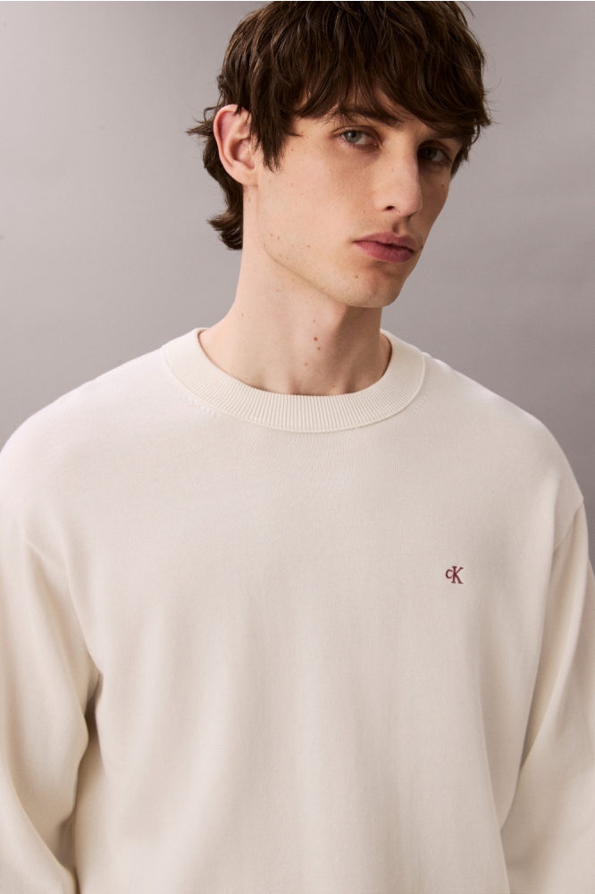 Calvin Klein beige heren trui | Close up