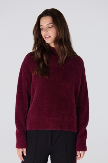 Juffrouw Jansen Trui CALLA W25 TRUI P155 TURTLE NECK 000323 DARK RED