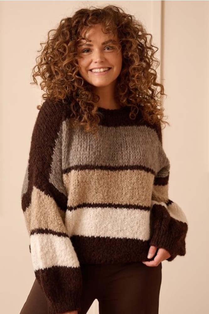 FOS Amsterdam bruine dames trui | Model vooraanzicht
