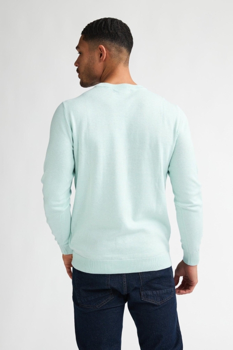 Petrol Industries groene heren trui | Model achteraanzicht