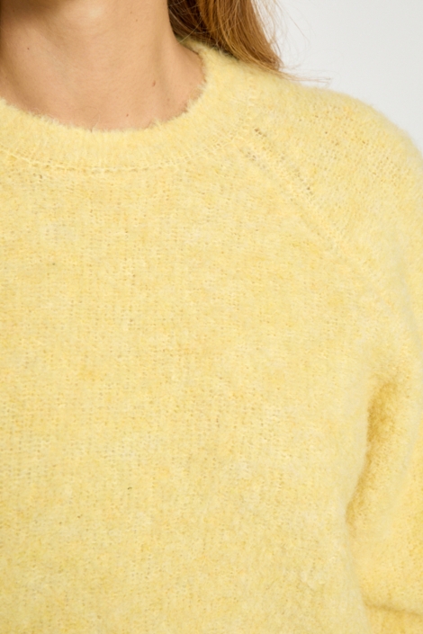 Peppercorn gele dames trui | Close up