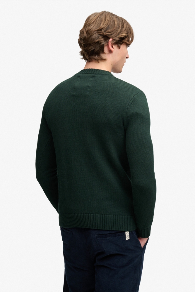 Superdry groene heren trui | Model achteraanzicht