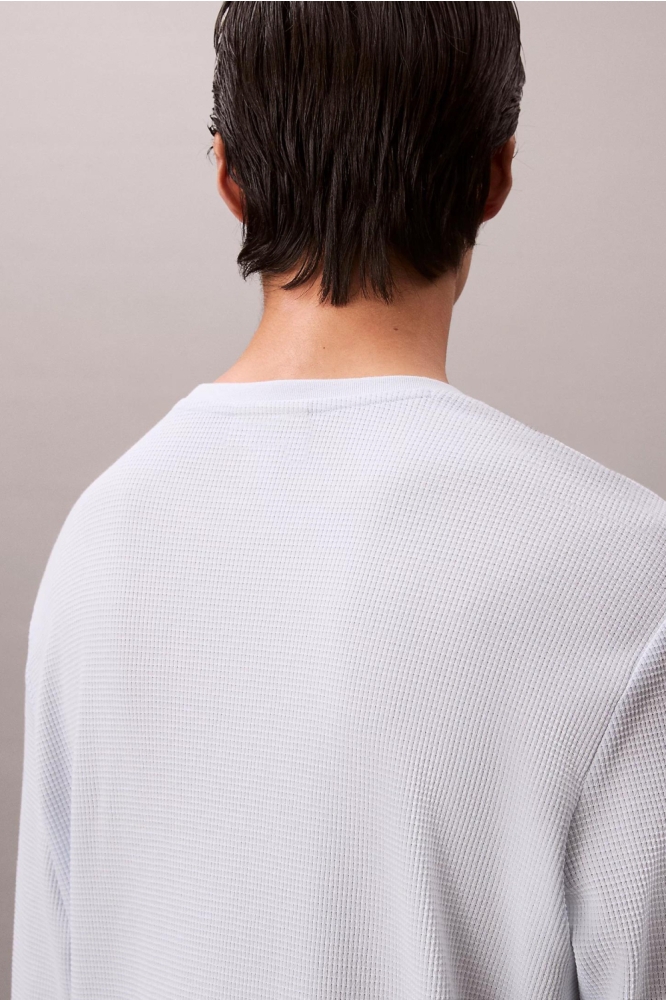 Calvin Klein blauwe heren t-shirt | Model achteraanzicht