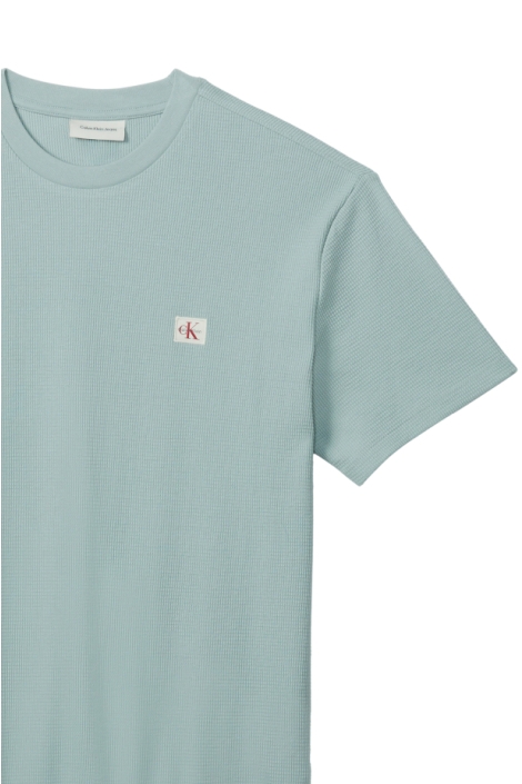 Calvin Klein groene heren t-shirt | Close up