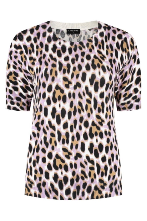 Lady Day multi color dames trui | Vooraanzicht