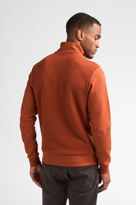 Petrol Industries koperen heren sweater | Model achteraanzicht