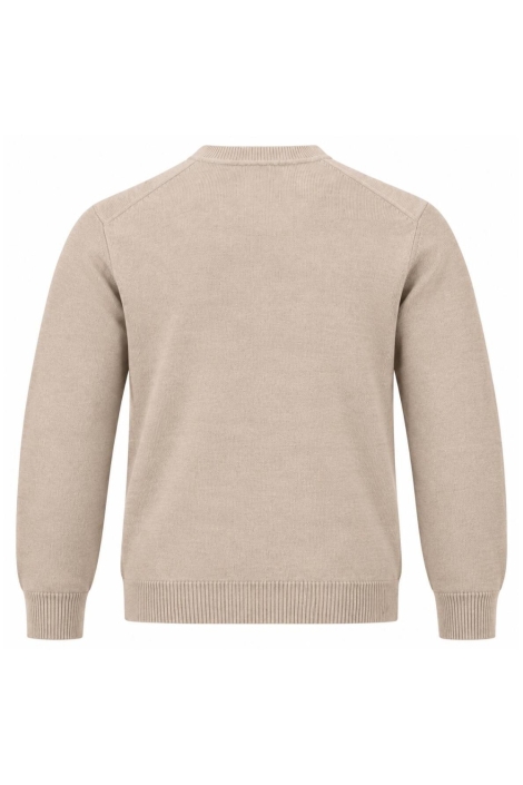 Petrol Industries beige heren trui | Achteraanzicht