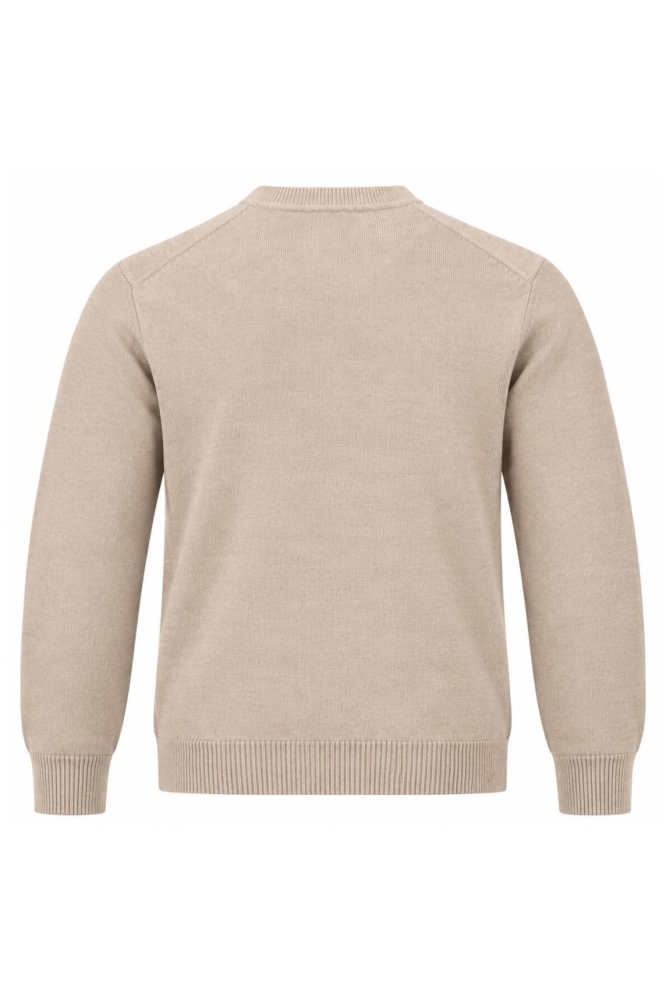 Petrol Industries beige heren trui | Achteraanzicht