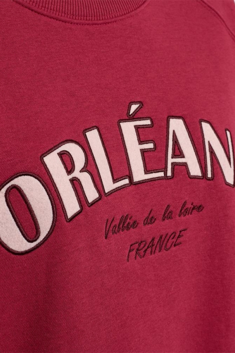 Freequent roze dames sweater | Kleurstaal