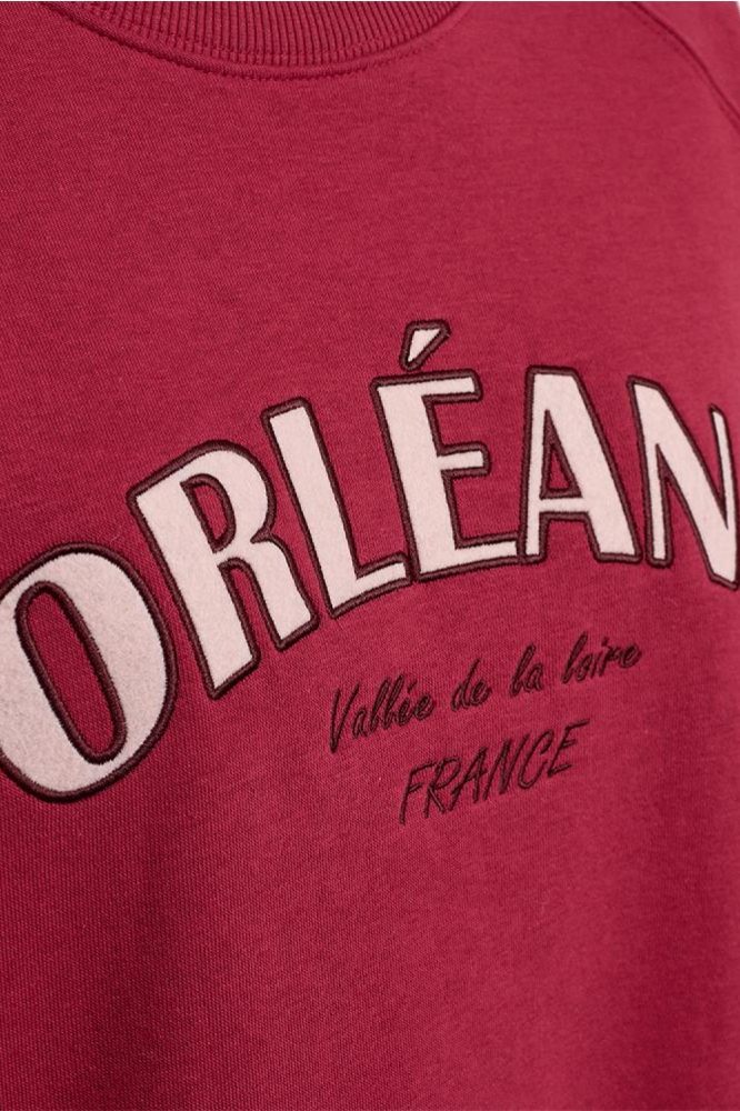 Freequent roze dames sweater | Kleurstaal