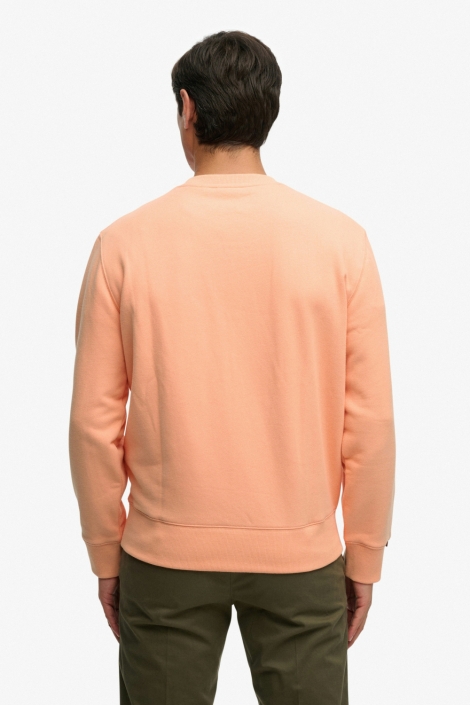 Superdry oranje heren sweater | Model achteraanzicht