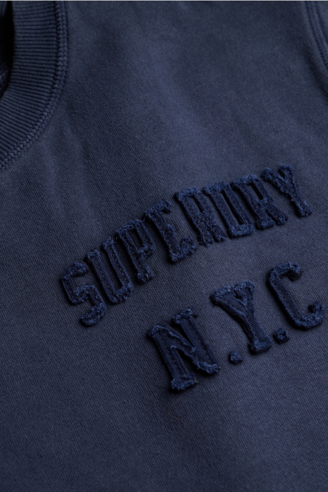 Superdry blauwe heren sweater | Kleurstaal