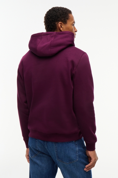 Tommy Jeans bordeaux heren sweater | Model achteraanzicht