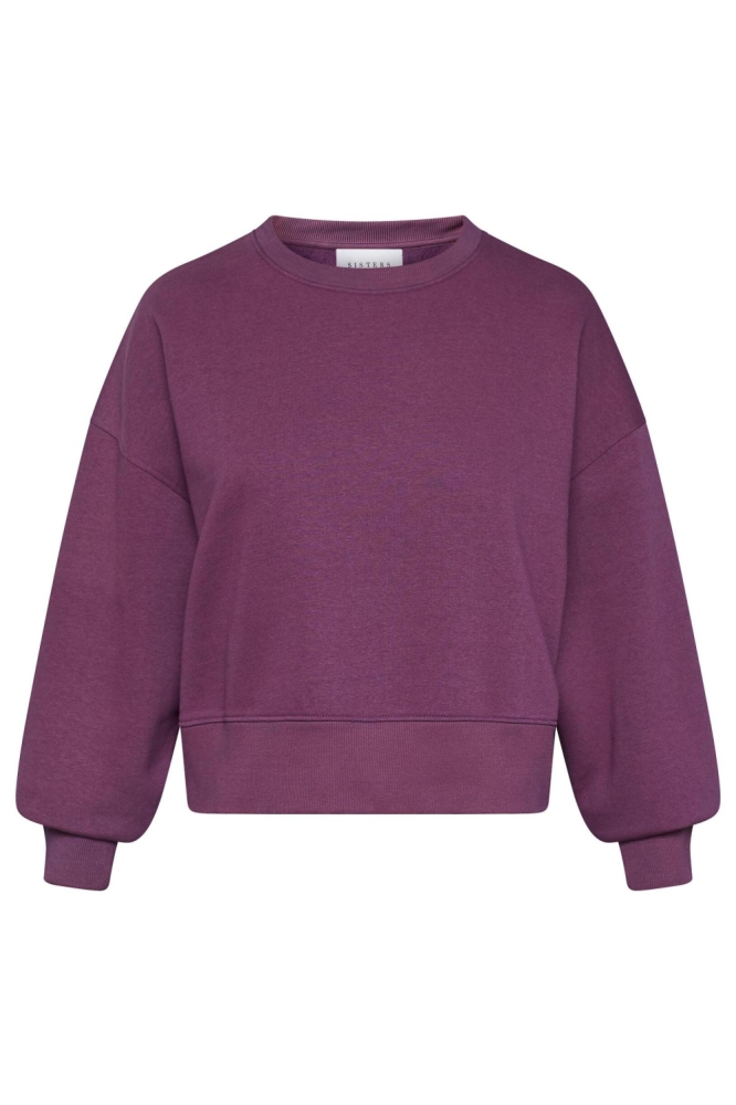 SisterS point paarse dames sweater | Vooraanzicht