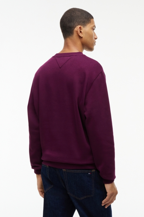 Tommy Jeans bordeaux heren sweater | Model achteraanzicht