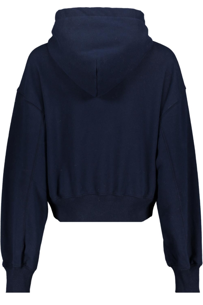 Tommy Jeans blauwe dames sweater | Achteraanzicht