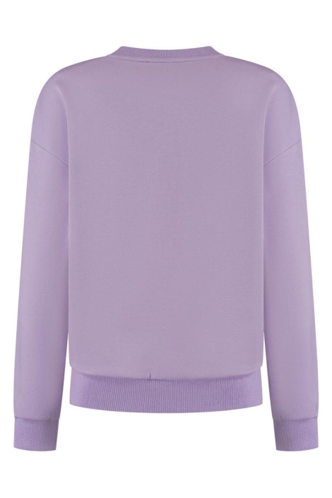Lady Day paarse dames sweater | Achteraanzicht