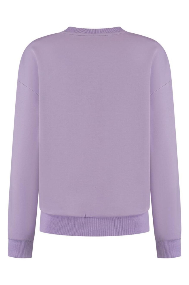 Lady Day paarse dames sweater | Achteraanzicht