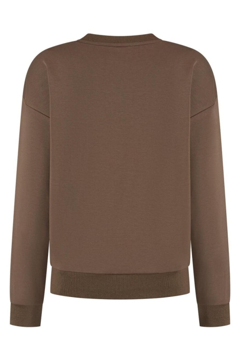 Lady Day bruine dames sweater | Achteraanzicht