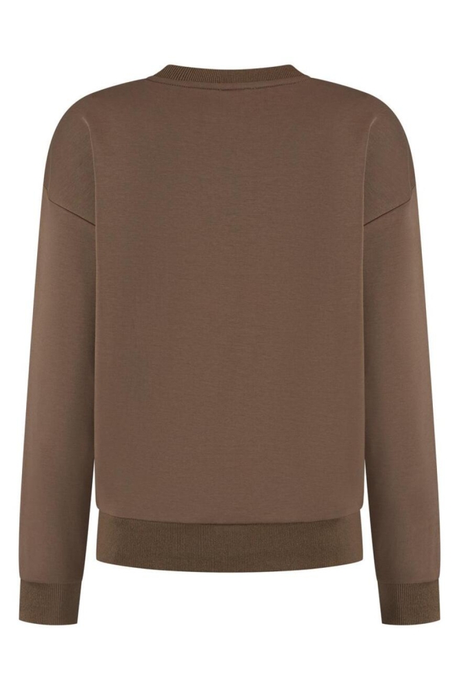 Lady Day bruine dames sweater | Achteraanzicht