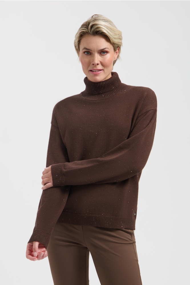 Lady Day bruine dames trui | Model vooraanzicht